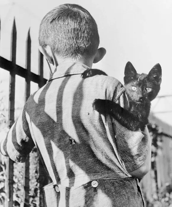 Framed Print : Small Boy Carrying a Cat Framed Print : Small Boy Carrying a Cat
