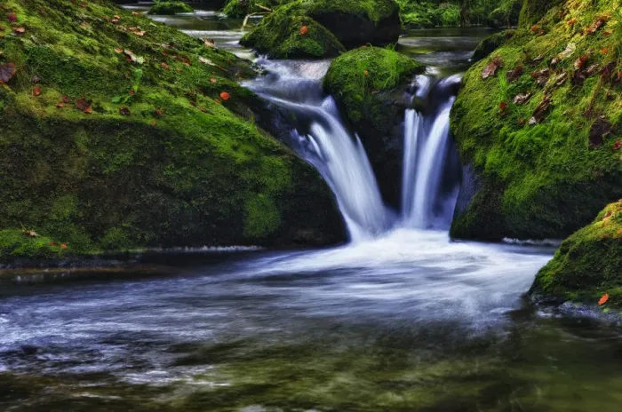 Framed Print : Small creek in a forest with a waterfall, Bavarian Forest National Park, Bavaria, Germany, Europe Framed Print : Small creek in a forest with a waterfall, Bavarian Forest National Park, Bavaria, Germany, Europe