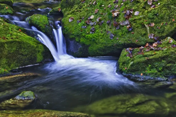 Framed Print : Small creek in a forest with a waterfall, Bavarian Forest National Park, Bavaria, Germany, Europe