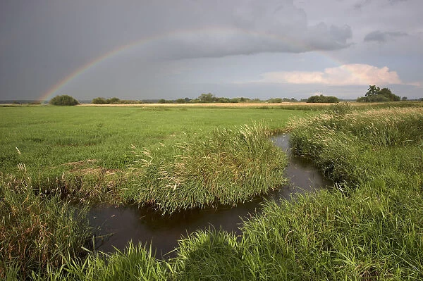 Small creek with rainbow, Wuemmewiesen nature reserve, Bremen, Germany, Europe