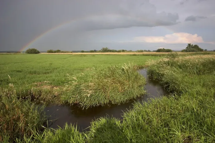 Framed Print : Small creek with rainbow, Wuemmewiesen nature reserve, Bremen, Germany, Europe Framed Print : Small creek with rainbow, Wuemmewiesen nature reserve, Bremen, Germany, Europe