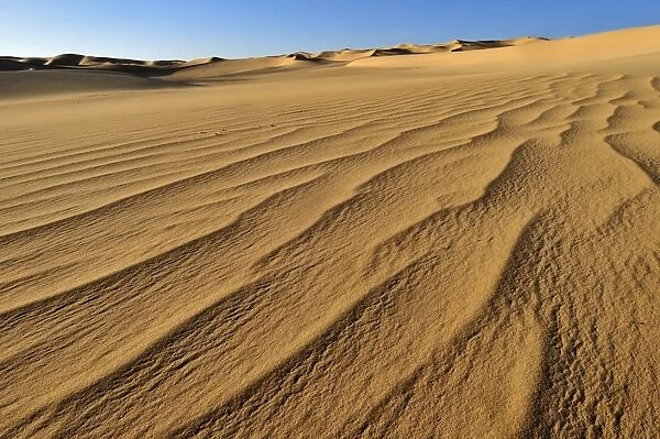 Small erg or sand dunes near Tehenadou, Adrar nAhnet, Adrar Ahnet, Algeria, Sahara, North Africa