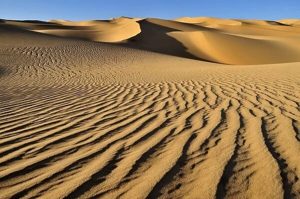 Small erg or sand dunes near Tehenadou, Adrar nAhnet, Adrar Ahnet, Algeria, Sahara, North Africa