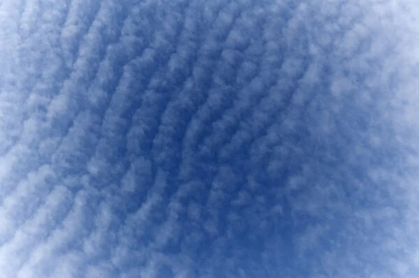 Small fluffy clouds, Cirrocumulus