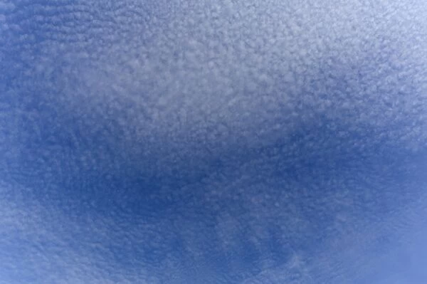 Small fluffy clouds, Cirrocumulus