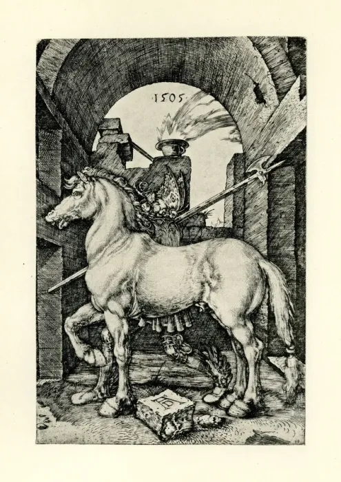 Framed Print : The Small Horse Framed Print : The Small Horse