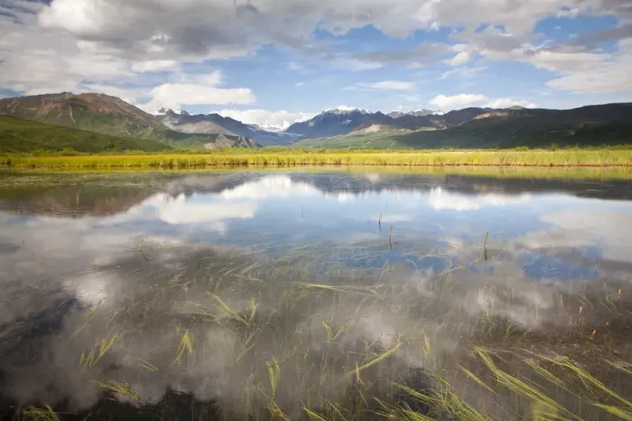 Framed Print : Small lake, Alaska Range mountain range, Alaska, United States Framed Print : Small lake, Alaska Range mountain range, Alaska, United States