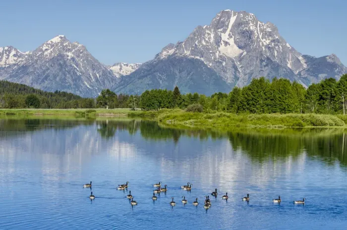 Framed Print : Small lake in Grand Teton National Park, Wyoming, USA Framed Print : Small lake in Grand Teton National Park, Wyoming, USA