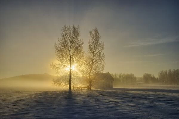 A Small Pioneer School In A Misty Winter Sunrise