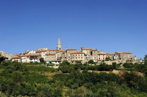 Small town situated on a hill, Motovun, Istria, Croatia