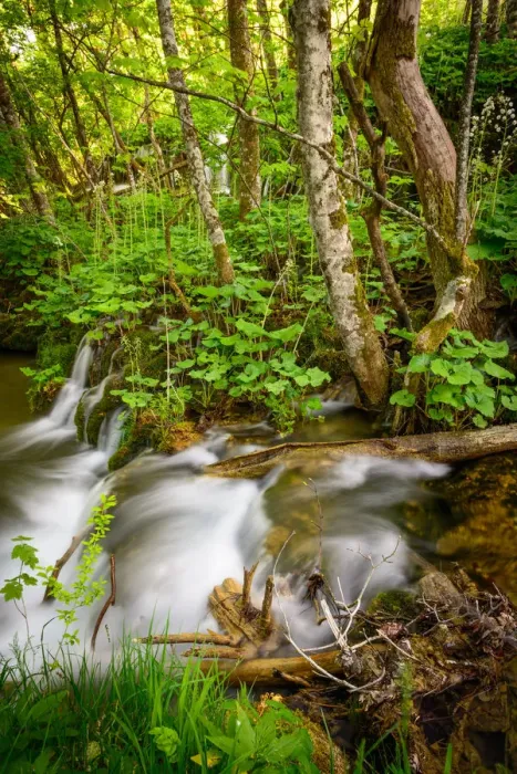 Framed Print : Small Waterfall in the Forest at Plitvice Lakes National Park Framed Print : Small Waterfall in the Forest at Plitvice Lakes National Park