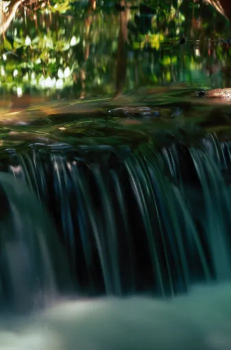 Framed Print : Small waterfall in stream, Phang-Nga Bay National Park, Thailand Framed Print : Small waterfall in stream, Phang-Nga Bay National Park, Thailand