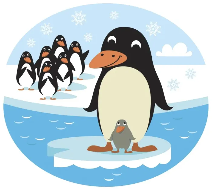 Framed Print : Smiling adult Penguin and chick standing on small ice floe, group of Penguins behind them on icy shore Framed Print : Smiling adult Penguin and chick standing on small ice floe, group of Penguins behind them on icy shore