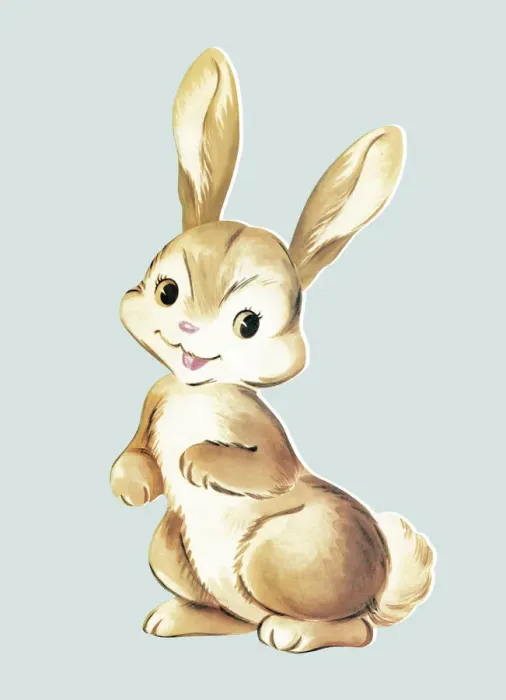 Framed Print : Smiling Bunny Framed Print : Smiling Bunny