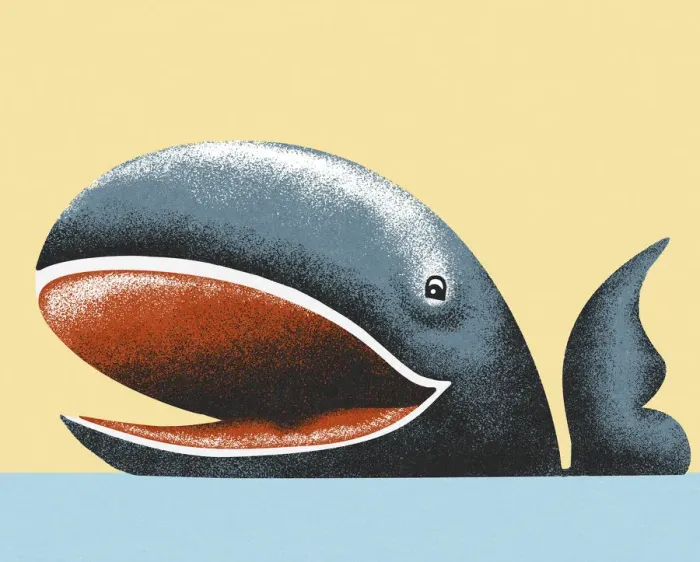 Framed Print : Smiling Whale