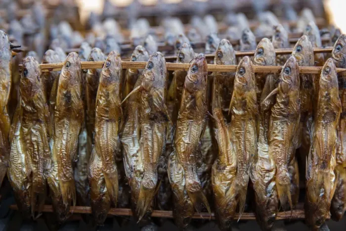 Framed Print : Smoked Fish Framed Print : Smoked Fish