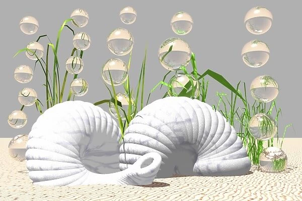 Snail shells on the bottom of the sea, 3D computer graphics
