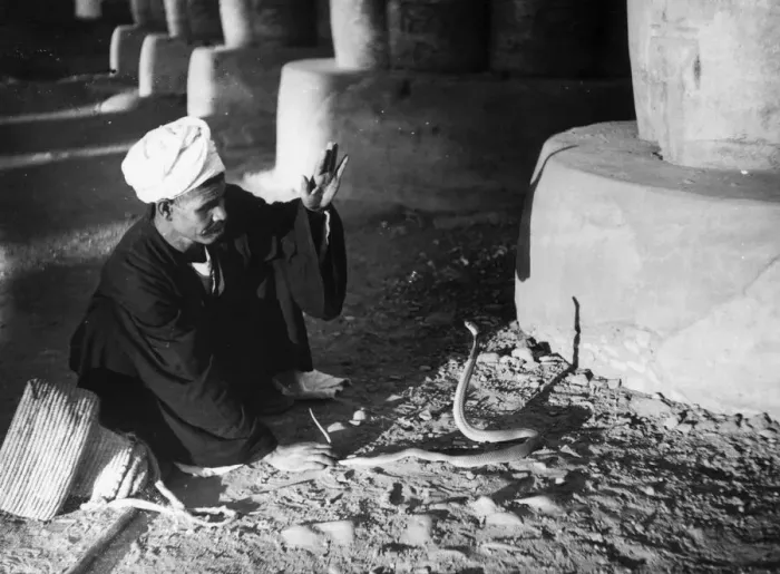 Framed Print : Snake Charmer Framed Print : Snake Charmer