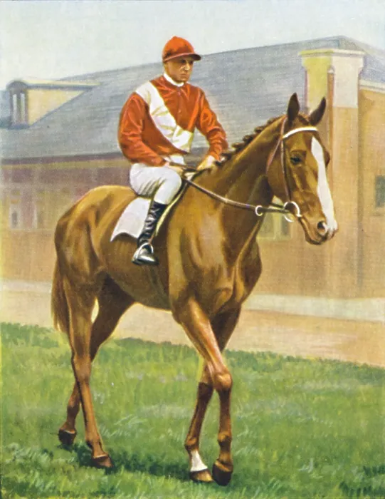 Framed Print : Snake Lightning. Jockey: T. Hawcroft Framed Print : Snake Lightning. Jockey: T. Hawcroft