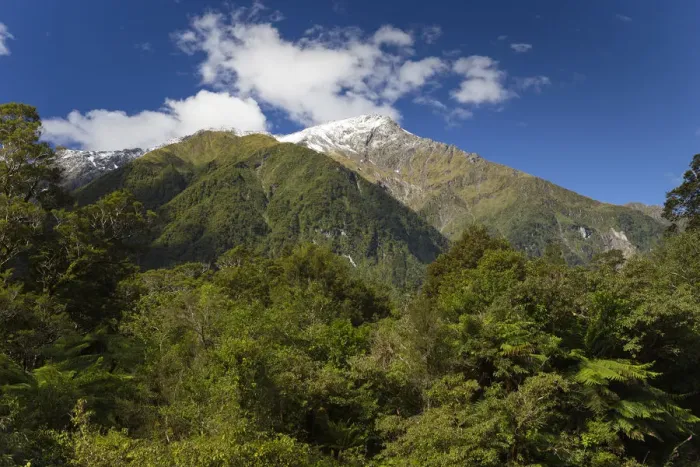 Framed Print : Snow-capped Mount Cuttance, 1436m, Mount Aspiring National Park, West Coast Region, New Zealand Framed Print : Snow-capped Mount Cuttance, 1436m, Mount Aspiring National Park, West Coast Region, New Zealand