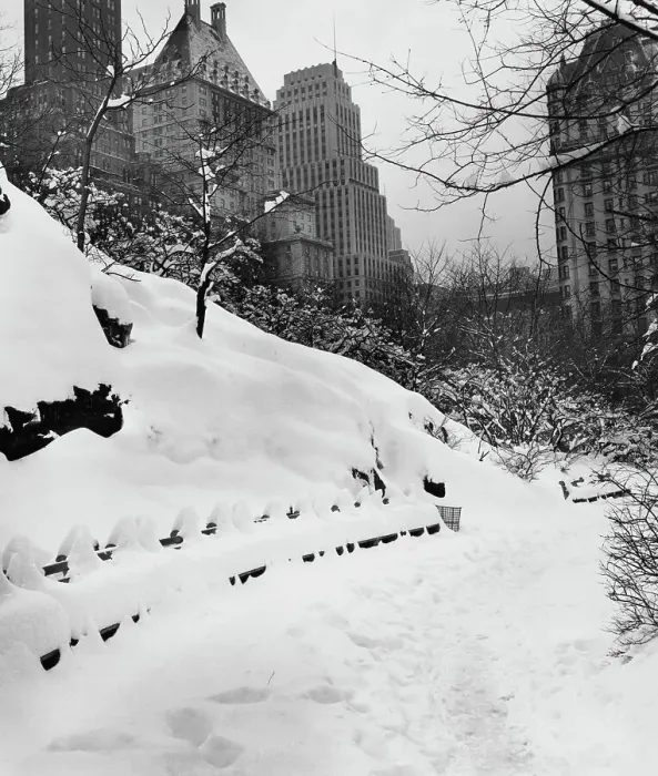 Framed Print : Snow In Central Park, 1948 Framed Print : Snow In Central Park, 1948