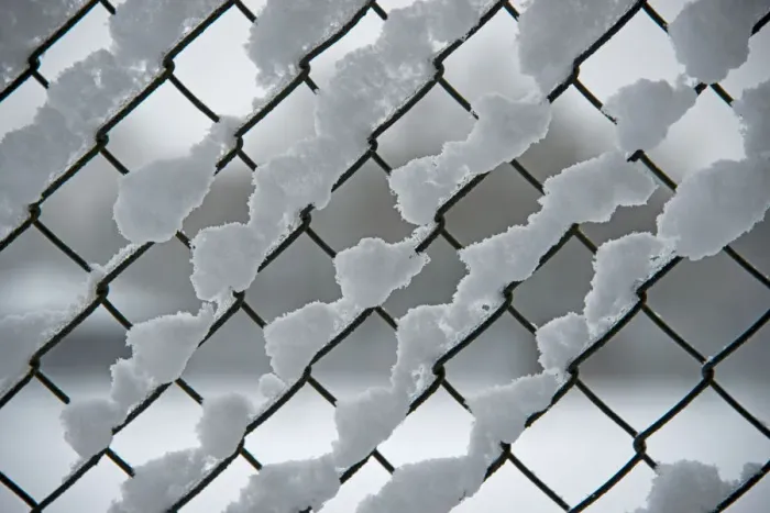 Framed Print : Snow on a chain link fence Framed Print : Snow on a chain link fence