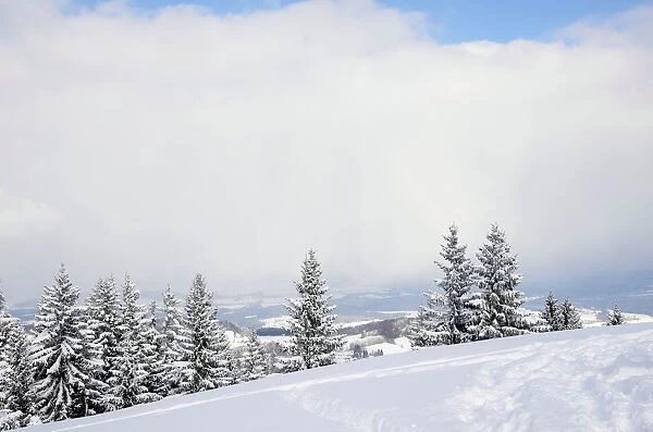 Snow clouds over the Bavarian alpine upland, Leitzachtal, bei Elbach, Upper Bavaria, Bavaria, Germany