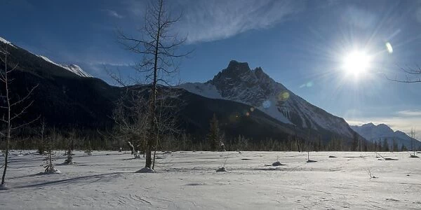 A snow covered field and the Canadian Rocky Mountains in Yoho National Park