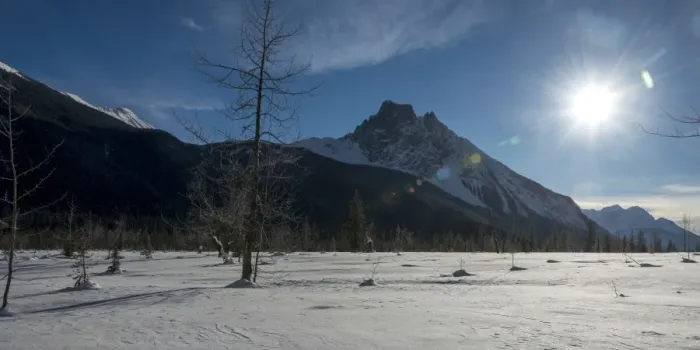 Framed Print : A snow covered field and the Canadian Rocky Mountains in Yoho National Park Framed Print : A snow covered field and the Canadian Rocky Mountains in Yoho National Park