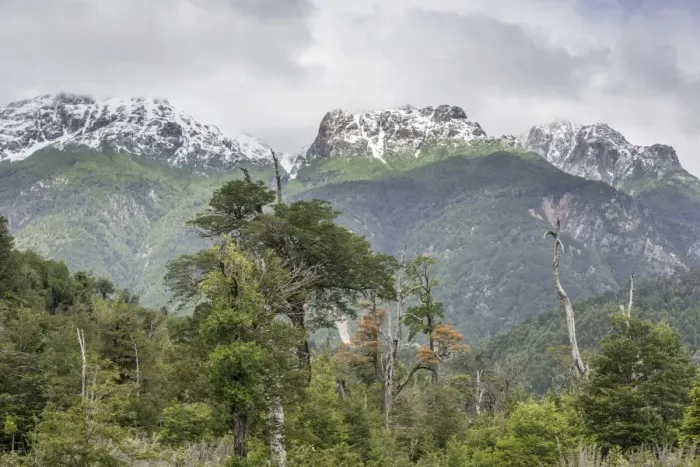 Framed Print : Snow-covered mountains and a cold rain forest, Carretera Austral, Chaiten, Los Lagos Region, Chile