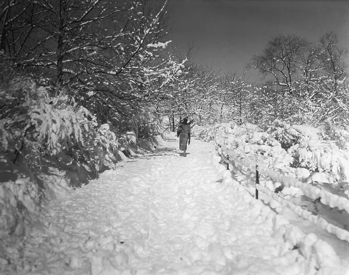 Framed Print : Snow-Covered Path In Central Park Framed Print : Snow-Covered Path In Central Park