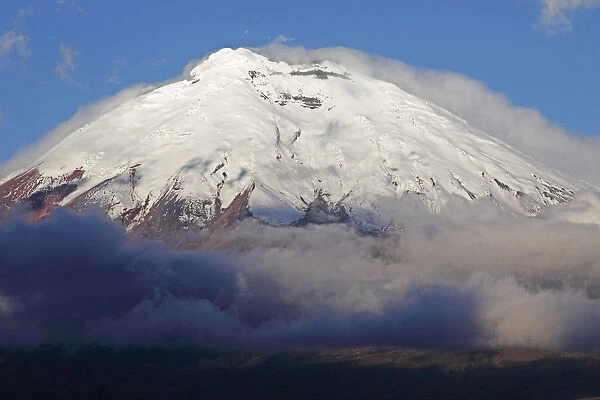 Snow-covered summit of Cotopaxi volcano rising from a cloud cover, Cotopaxi Province, Ecuador