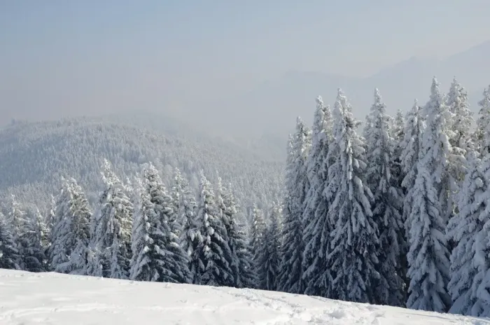 Framed Print : Snow-covered winter landscape, inversion weather conditions at Schwarzenberg mountain, near Elbach, Leitzachtal, Bavaria, Germany, Europe Framed Print : Snow-covered winter landscape, inversion weather conditions at Schwarzenberg mountain, near Elbach, Leitzachtal, Bavaria, Germany, Europe