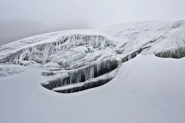 Snow, ice formations, glaciers and rime on Mount Stanley, Kilembe Route, Rwenzori National Park, Kasese District, Uganda