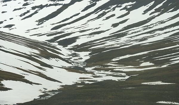 snow pattern on grass field in Iceland