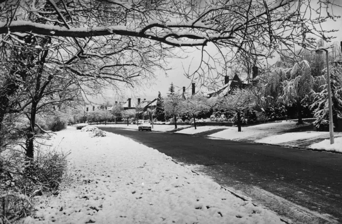 Framed Print : Snow Scene Framed Print : Snow Scene
