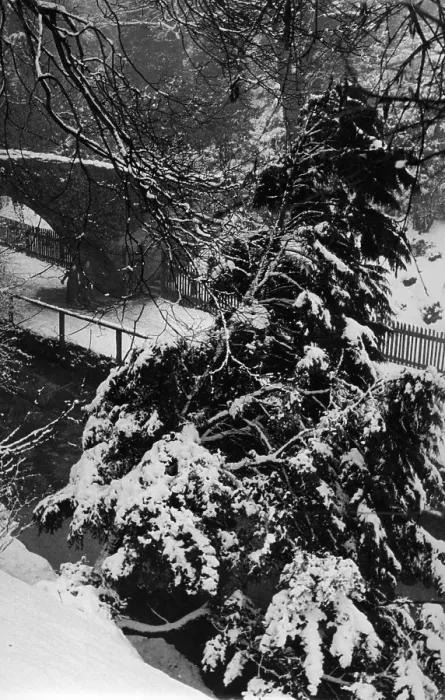 Framed Print : Snow Scene Framed Print : Snow Scene