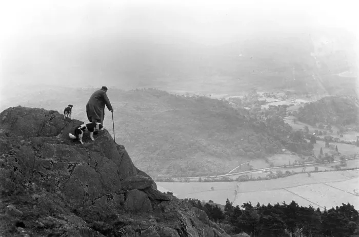 Framed Print : Snowdonia. 11th August 1951: A farmer and his dogs high up in Snowdonia Framed Print : Snowdonia. 11th August 1951: A farmer and his dogs high up in Snowdonia