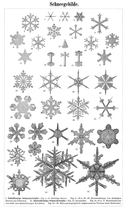 Framed Print : Snowflakes 1895 Framed Print : Snowflakes 1895