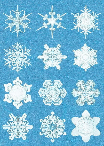 Snowflakes. http: /  / csaimages.com / images / istockprofile / csa_vector_dsp.jpg