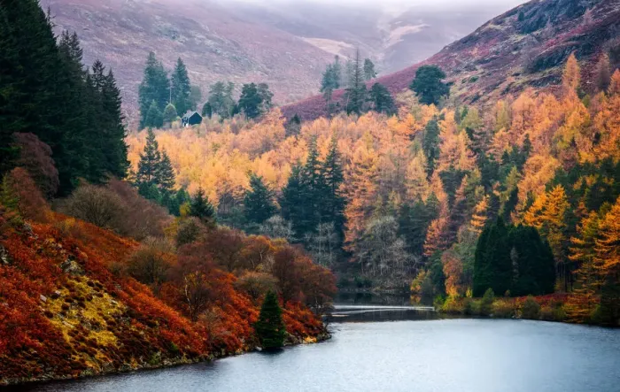 Framed Print : Snowing in the Elan Valley Framed Print : Snowing in the Elan Valley