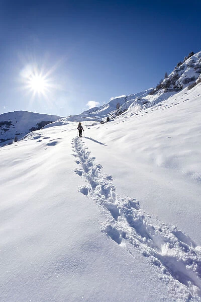 Snowshoer ascending to Jagelealm alpine pasture in Ridnauntal Valley above Entholz, Alto Adige, Italy, Europe