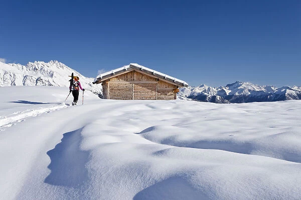 Snowshoer ascending to Jagelealm alpine pasture in Ridnauntal Valley above Entholz, looking towards Rosskopf Mountain, Alto Adige, Italy, Europe