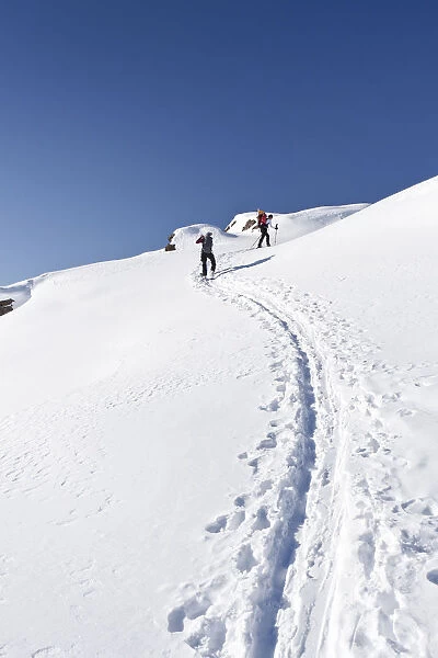 Snowshoers during the ascent to Uribrutto Mountain above the Passo Valles, Dolomites, Trentino, Italy, Europe