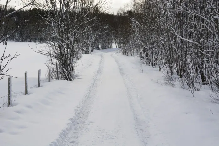 Framed Print : Snowy landscape with footpath, Near Narvik, Troms, Norway Framed Print : Snowy landscape with footpath, Near Narvik, Troms, Norway