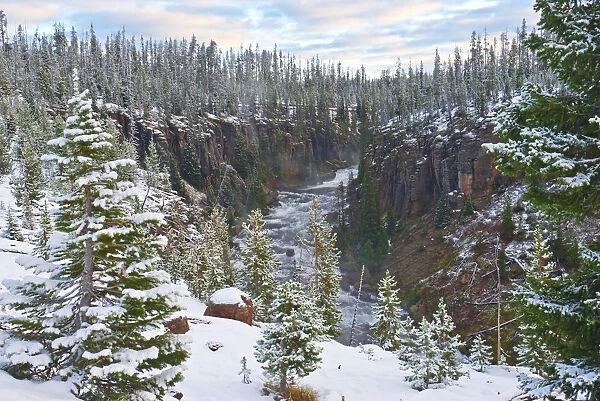 Snowy landscape with Lewis River, Yellowstone National Park, Wyoming, USA