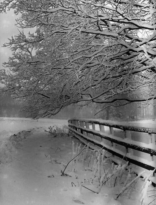 Framed Print : Snowy Scene