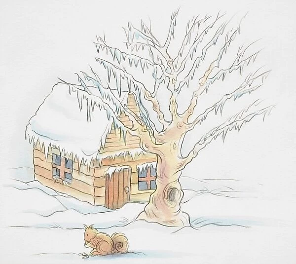 Snowy scene, wooden hut and tree covered with layer of snow, squirrel sitting in foreground eating nuts, side view