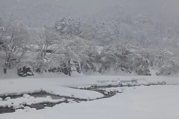 Snowy Shirakawa-go