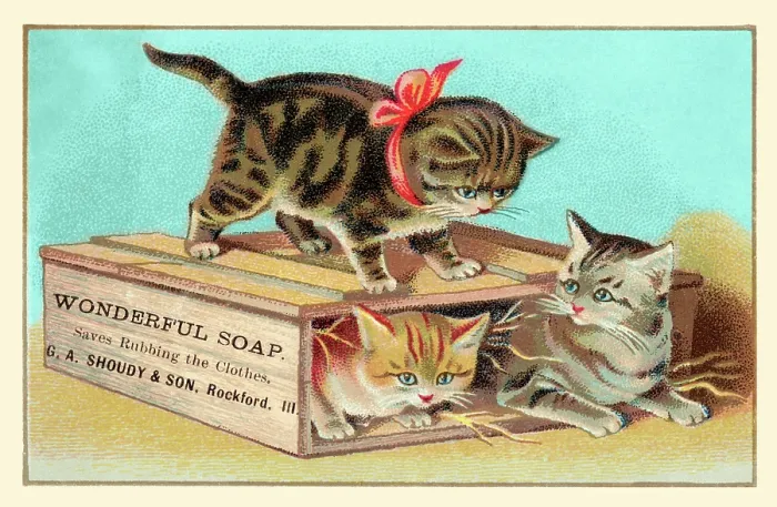Framed Print : Soap Box Cats I Framed Print : Soap Box Cats I